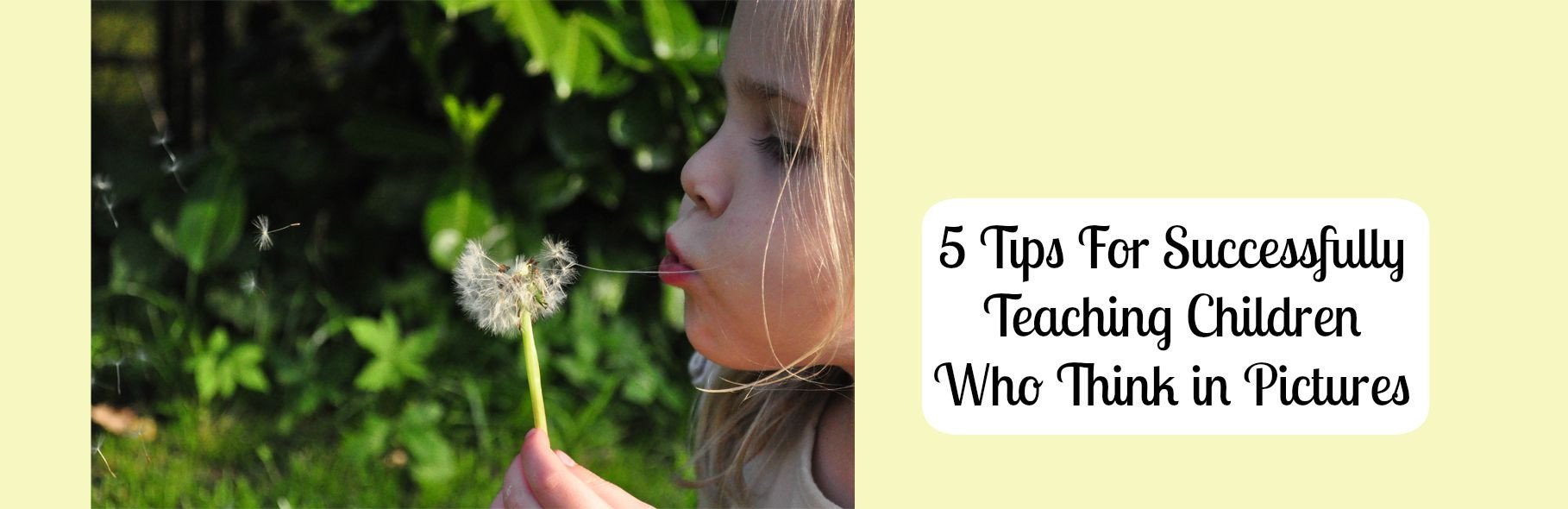 5 Tips for Successfully Teaching Children Who Think in Pictures ...