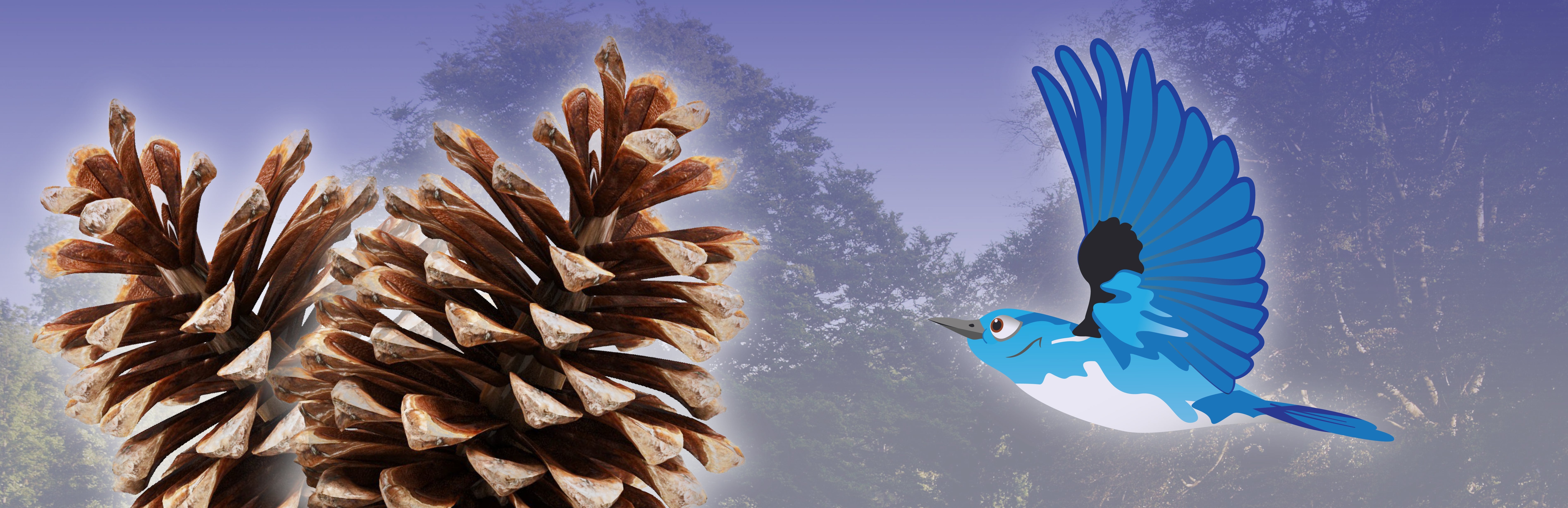 Build a Pinecone Bird Buffet – Child1st Publications