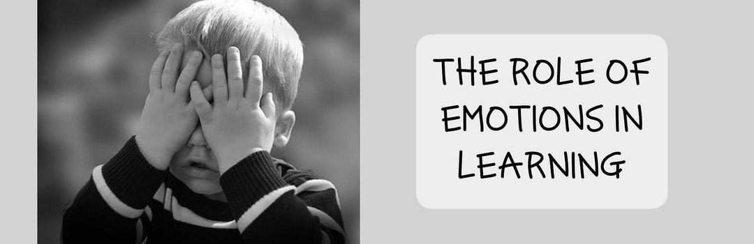 The Role of Emotions in Learning | Child1st Publications