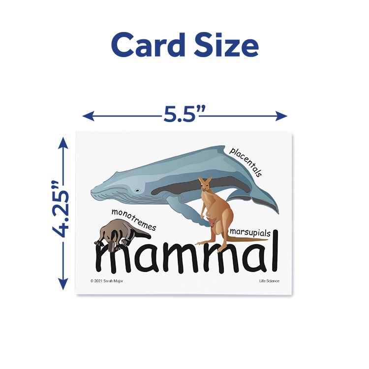 Life Science card illustrating 'mammal' with whale, kangaroo, and platypus, showing card size dimensions: 5.5 x 4.25 inches.